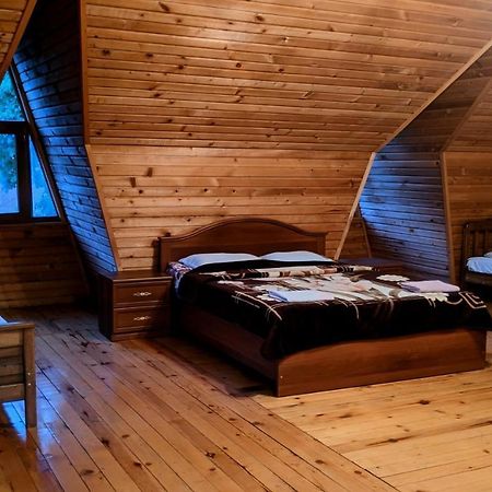 Hotel Texel Боржомі Екстер'єр фото