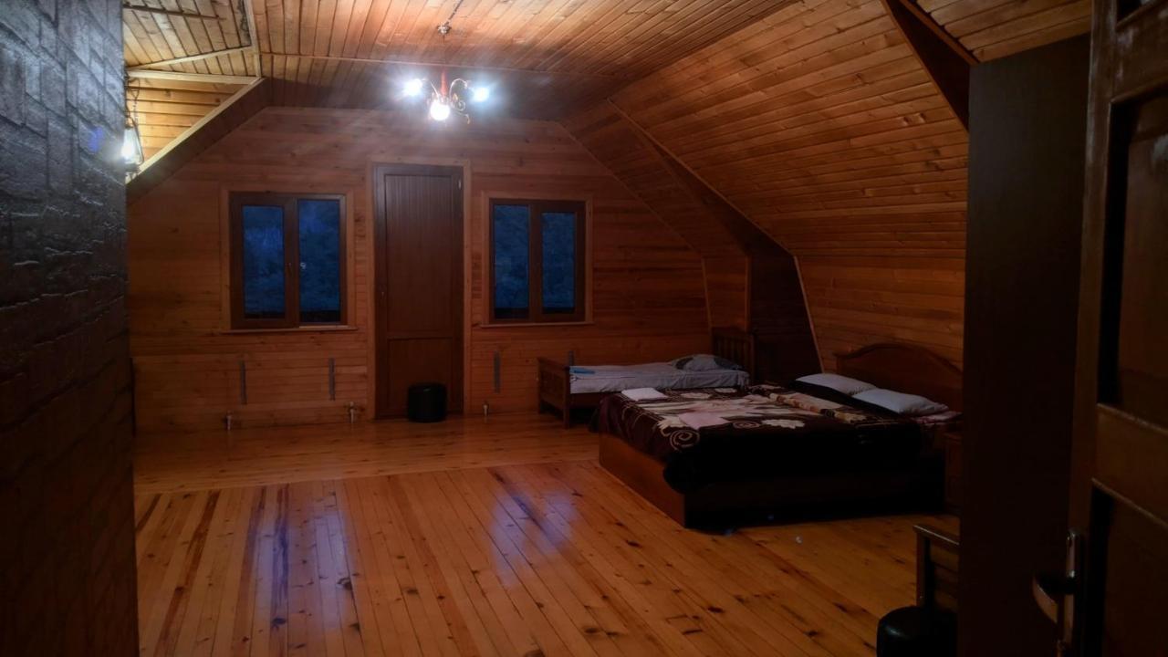 Hotel Texel Боржомі Екстер'єр фото